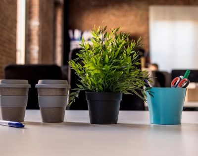 Plazida Coworking in Madrid